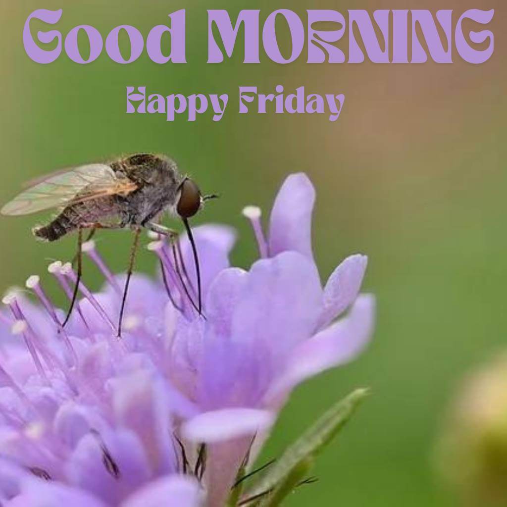 Nature and Scenic Views