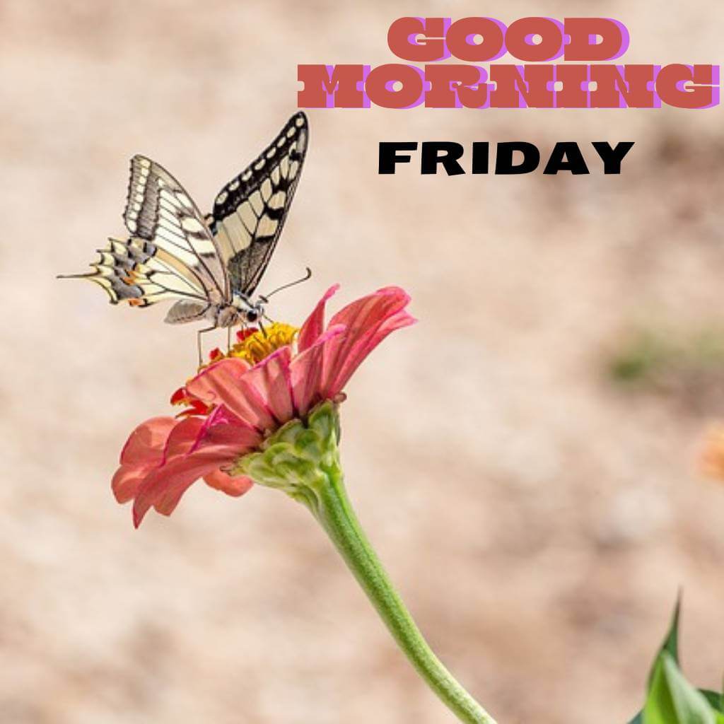 Nature and Scenic Views