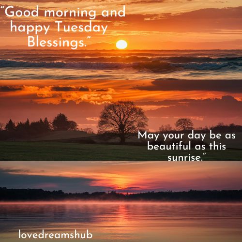 Tuesday Blessings 13